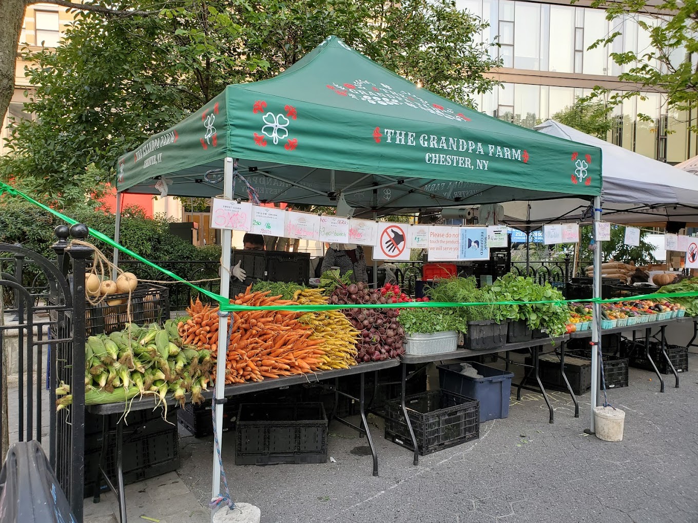 Union Square Greenmarket - NYC Food Marketplace